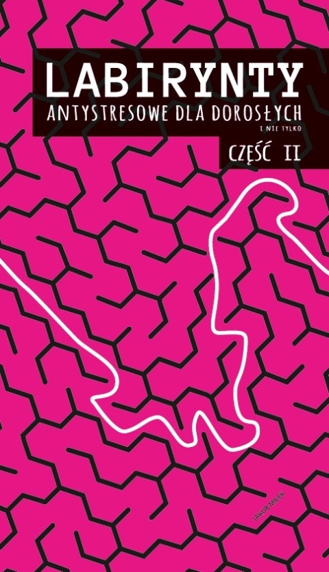 Antystresowa książka z labiryntami Labirynty cz. 2 99 labiryntów