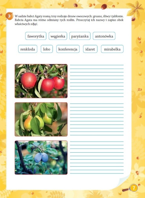 Ćwiczenia przyrodnicze Zielony Detektyw klasa 3 książeczka dla dzieci 8+