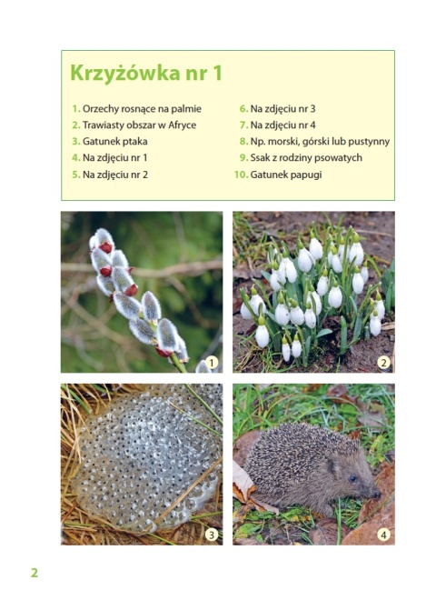 Krzyżówki z przyrodą w tle edukacyjna krzyżówka dla dzieci książeczka 8+