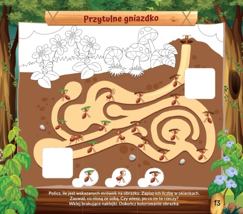 Książeczka edukacyjna dla dzieci 5-7 lat Ciekawska ekipa zajączka Filipa