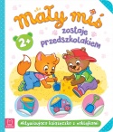 Mały miś zostaje przedszkolakiem książeczka edukacyjna z naklejkami 2+