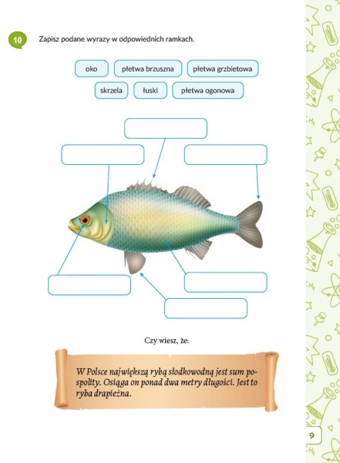 Uczymy i bawimy się z Lucusiem klasa 3 ćwiczenia edukacyjne dla dzieci 8+
