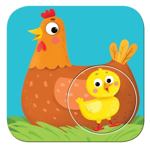 Układanka edukacyjna Mały Miś Szukamy mamy Zwierzątka książeczka Aksjomat