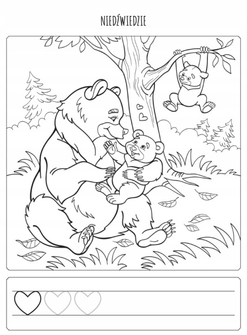 W lesie i na łące kreatywna kolorowanka ze szlaczkami Malowanka dla dzieci