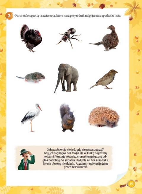 Zielony Detektyw klasa 1 ćwiczenia przyrodnicze dla dzieci edukacyjne 6+