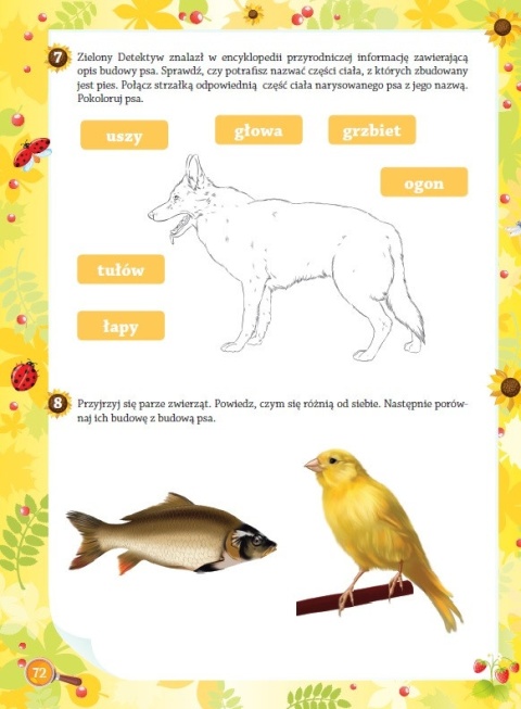 Zielony Detektyw klasa 1 ćwiczenia przyrodnicze dla dzieci edukacyjne 6+