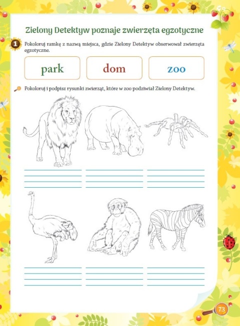Zielony Detektyw klasa 1 ćwiczenia przyrodnicze dla dzieci edukacyjne 6+