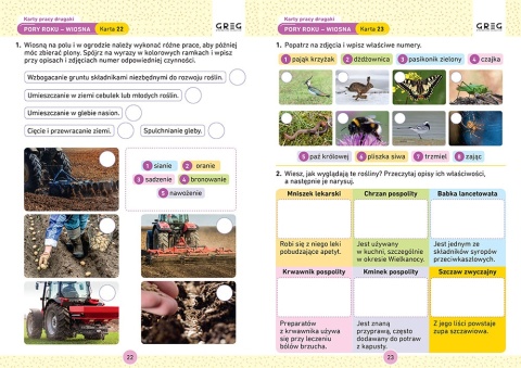 Drugaki karty pracy w szkole i w domu klasa 2 GREG ćwiczenia
