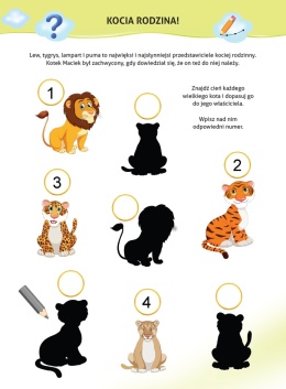 Książeczka edukacyjna Dzikie zwierzęta dla dzieci 4+ zadania naklejki