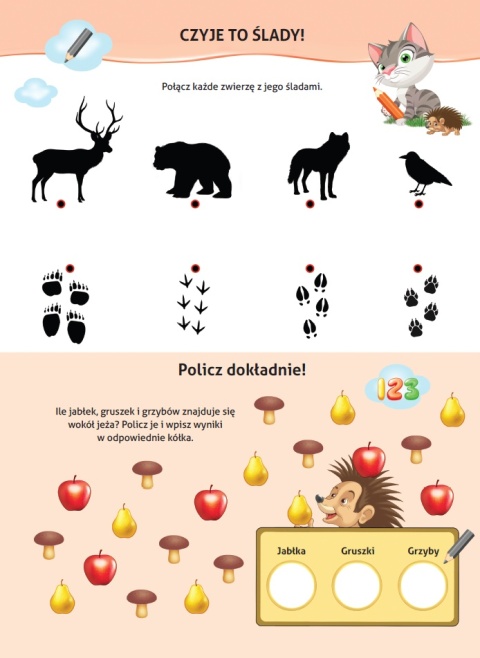 Książeczka edukacyjna Nauka z kotem Maćkiem Zwierzęta leśne dla dzieci 4+