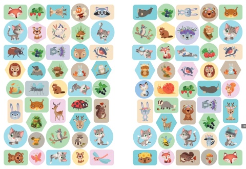 Książeczka edukacyjna Nauka z kotem Maćkiem Zwierzęta leśne dla dzieci 4+