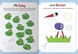 Książeczka edukacyjna Szlaczki 4-6 lat Ćwiczenia grafomotoryczne Naklejki