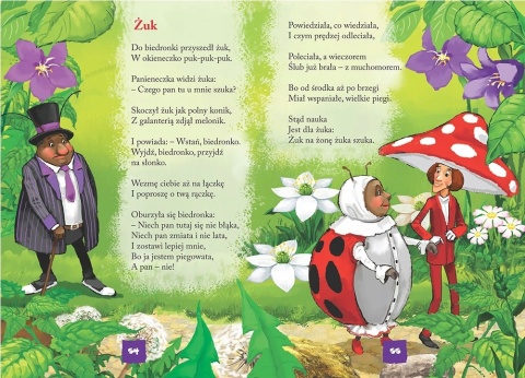 Książka Brzechwa dzieciom wiersze dla dzieci Jan Brzechwa klasyka