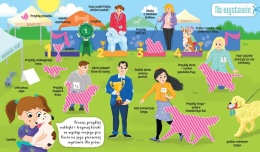 Mała projektantka Strefa zwierzaka Aksjomat książka z naklejkami dla dzieci