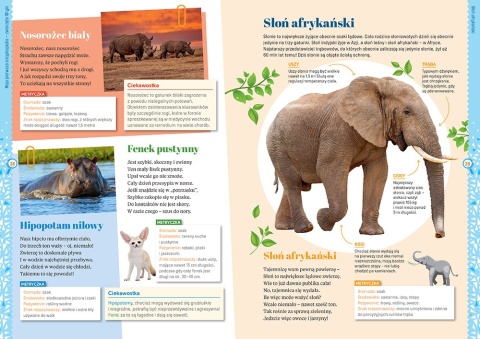 Moja pierwsza encyklopedia zwierzęta Greg książka edukacyjna dla dzieci