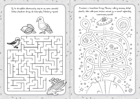 Moje labirynty książeczka edukacyjna dla dzieci 5+ zadania łamigłówki