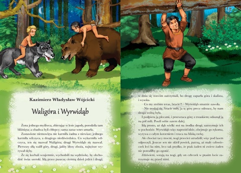 Najpiękniejsze baśnie polskie książka dla dzieci 96 stron twarda oprawa