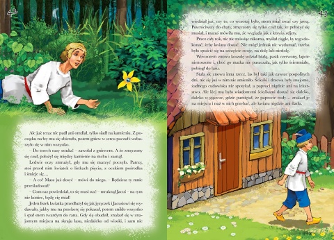 Najpiękniejsze baśnie polskie książka dla dzieci 96 stron twarda oprawa