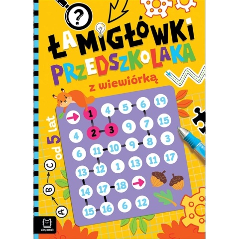 Pakiet książeczek łamigłówki zagadki labirynty dla 5 latka 4 szt Aksjomat