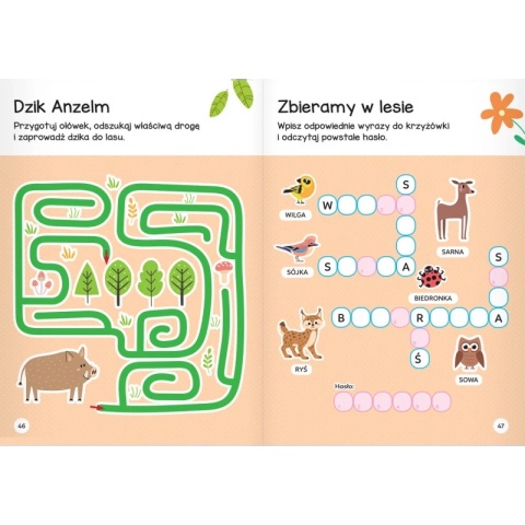 Pakiet książeczek łamigłówki zagadki labirynty dla 5 latka 4 szt Aksjomat