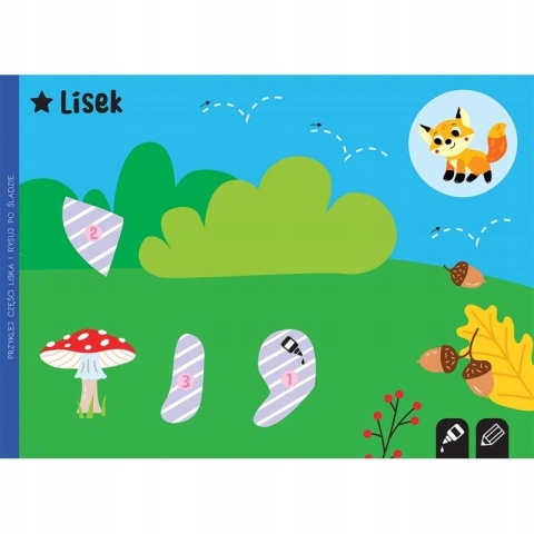 Wycinanki dla przedszkolaka 4-6 lat Na łące książka do wycinania Aksjomat