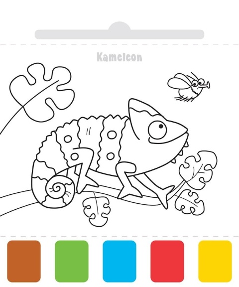 Farbki i pędzelek W zoo malowanka wodna książka dla dzieci do zabawy