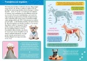 Mała encyklopedia Psy książka edukacyjna fakty ciekawostki dla dzieci