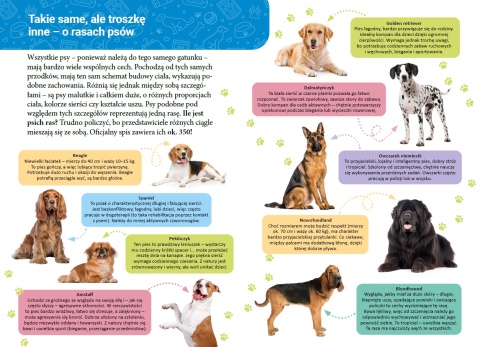 Mała encyklopedia Psy książka edukacyjna fakty ciekawostki dla dzieci