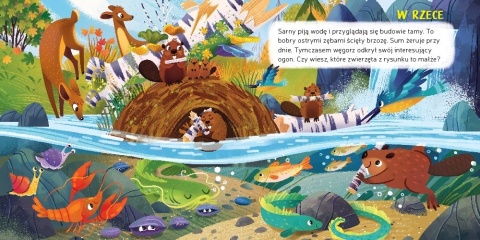 Co zobaczę pod wodą Oglądaj, wskazuj, zapamiętuj książeczka edukacyjna