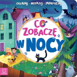 Co zobaczę w nocy? Książeczka edukacyjna dla dzieci książka