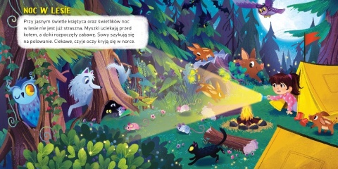 Co zobaczę w nocy? Książeczka edukacyjna dla dzieci książka