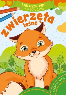 Kolorowanka Malowanka Maluszkowe malowanie Zwierzęta Książeczka dla dzieci