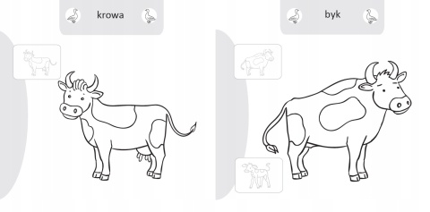 Kolorowanka malowanka dla dzieci Malowanie-doklejanie Na Wsi + Naklejki