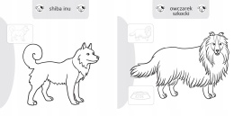 Kolorowanka malowanka dla dzieci Malowanie-doklejanie Pieski + Naklejki