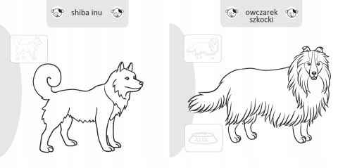 Kolorowanka malowanka dla dzieci Malowanie-doklejanie Pieski + Naklejki