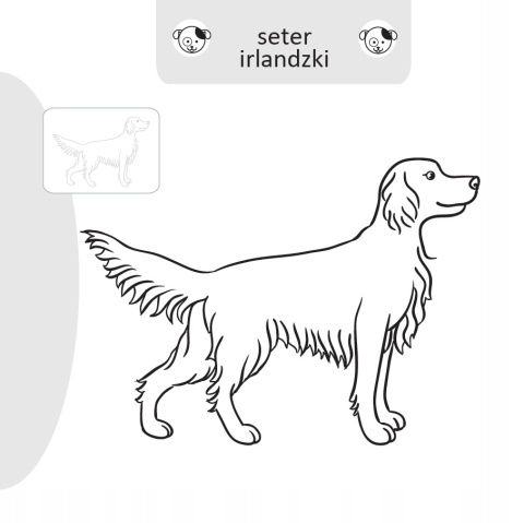 Kolorowanka malowanka dla dzieci Malowanie-doklejanie Pieski + Naklejki