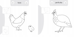 Kolorowanka malowanka dla dzieci Malowanie-doklejanie Ptaki + Naklejki