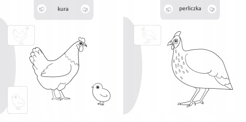 Kolorowanka malowanka dla dzieci Malowanie-doklejanie Ptaki + Naklejki