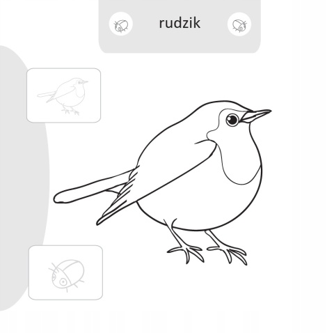 Kolorowanka malowanka dla dzieci Malowanie-doklejanie Ptaki + Naklejki