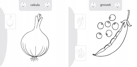 Kolorowanka malowanka dla dzieci Malowanie-doklejanie Warzywa + Naklejki