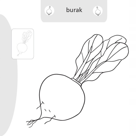 Kolorowanka malowanka dla dzieci Malowanie-doklejanie Warzywa + Naklejki