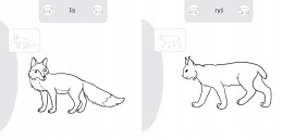 Kolorowanka malowanka dla dzieci Malowanie-doklejanie Zwierzęta + Naklejki