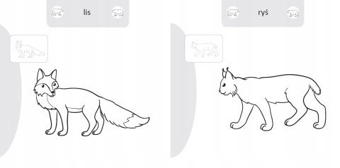 Kolorowanka malowanka dla dzieci Malowanie-doklejanie Zwierzęta + Naklejki