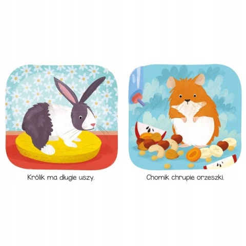 Kto tu mieszka? W Domu Książeczka edukacyjna dla dzieci dla małych rączek