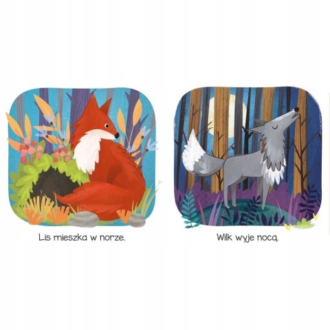 Kto tu mieszka W lesie Książeczka edukacyjna dla dzieci dla małych rączek