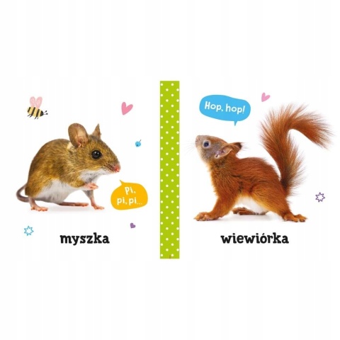 Pierwsze słowa i dźwięki Zwierzęta Książeczka Edukacyjna dla Dzieci