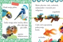 Wyrazy i zdania do nauki czytania Tajemnice przyrody zwierząt książeczka