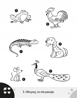 Główkuję z ołówkiem 6 Książeczka dla dzieci pomarańczowa Łamigłówki zadania