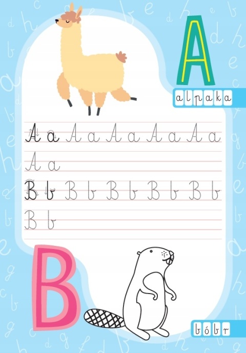 Już woła szkoła! Literki łamigłówki zadania nauka książeczka edukacyjna