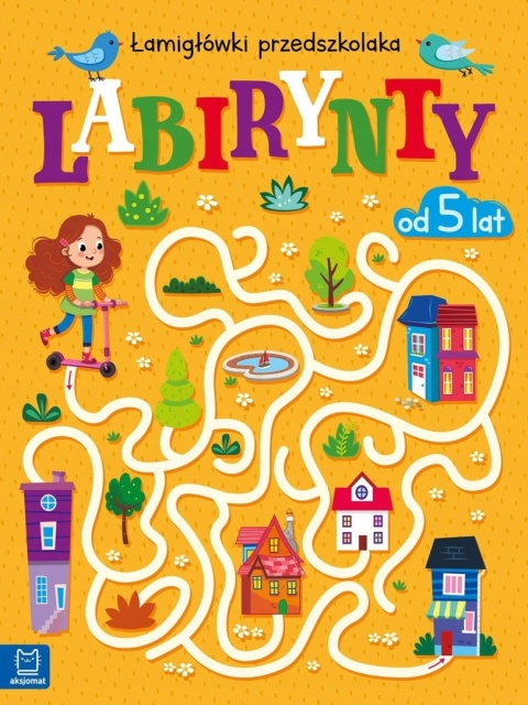 Labirynty Łamigłówki przedszkolaka zadania książka dla dzieci od 5 lat